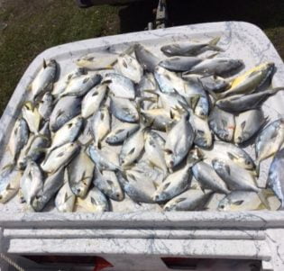 Apalach Anglers boat full of fish