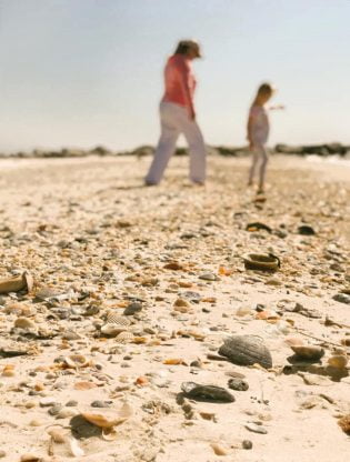 Family enjoying boat tour on Little St. George Island, Florida